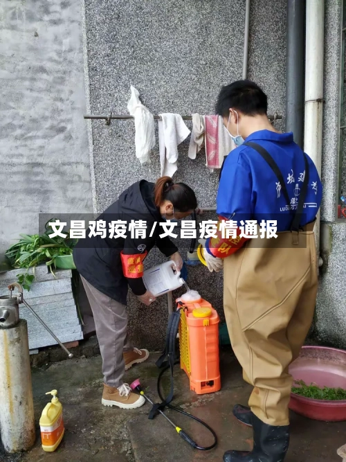 文昌鸡疫情/文昌疫情通报