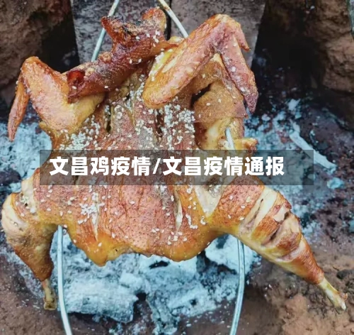 文昌鸡疫情/文昌疫情通报-第3张图片