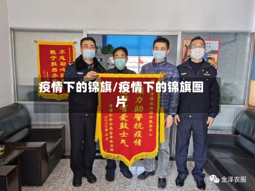 疫情下的锦旗/疫情下的锦旗图片