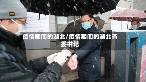疫情期间的湖北/疫情期间的湖北省委书记-第2张图片