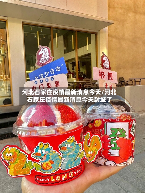 河北石家庄疫情最新消息今天/河北石家庄疫情最新消息今天封城了-第3张图片