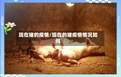 现在猪的疫情/现在的猪疫情情况如何