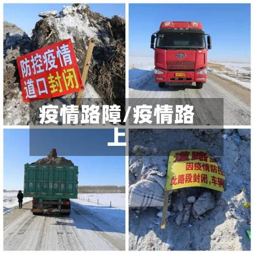 疫情路障/疫情路上-第2张图片