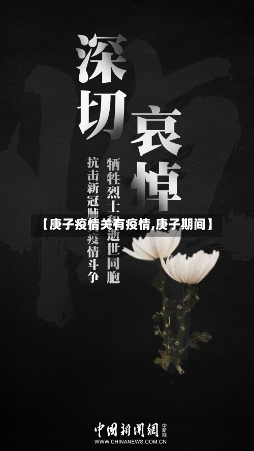 【庚子疫情关有疫情,庚子期间】-第3张图片