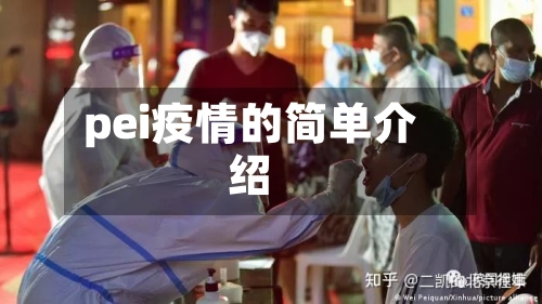 pei疫情的简单介绍
