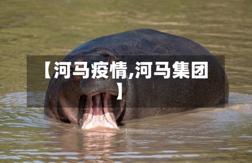 【河马疫情,河马集团】