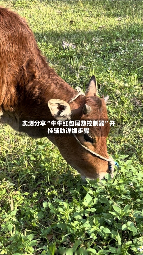 实测分享“牛牛红包尾数控制器”开挂辅助详细步骤-第3张图片