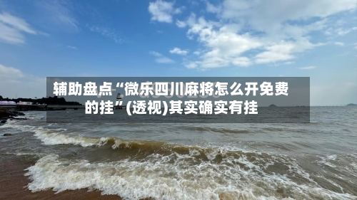 辅助盘点“微乐四川麻将怎么开免费的挂”(透视)其实确实有挂-第2张图片