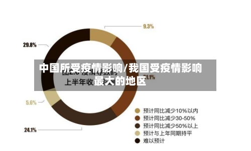 中国所受疫情影响/我国受疫情影响最大的地区