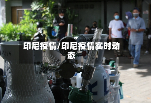 印尼疫情/印尼疫情实时动态-第3张图片