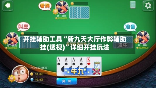 开挂辅助工具“新九天大厅作弊辅助挂(透视)”详细开挂玩法
