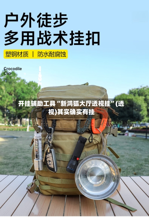 开挂辅助工具“新鸿狐大厅透视挂”(透视)其实确实有挂-第3张图片