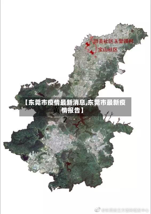【东莞市疫情最新消息,东莞市最新疫情报告】