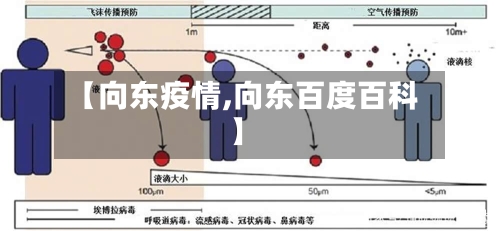 【向东疫情,向东百度百科】-第2张图片