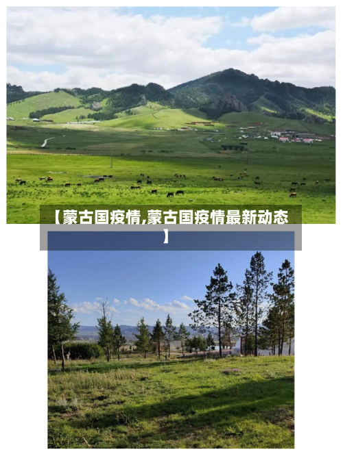 【蒙古国疫情,蒙古国疫情最新动态】