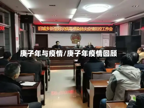 庚子年与疫情/庚子年疫情回顾