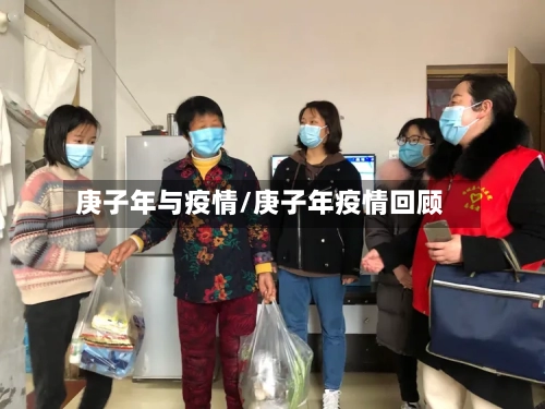 庚子年与疫情/庚子年疫情回顾-第3张图片