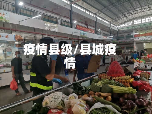 疫情县级/县城疫情