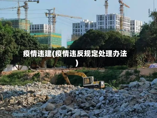 疫情违建(疫情违反规定处理办法)-第3张图片