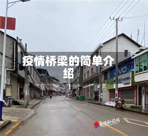 疫情桥梁的简单介绍