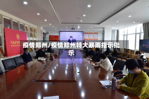 疫情郑州/疫情郑州特大暴雨指示批示