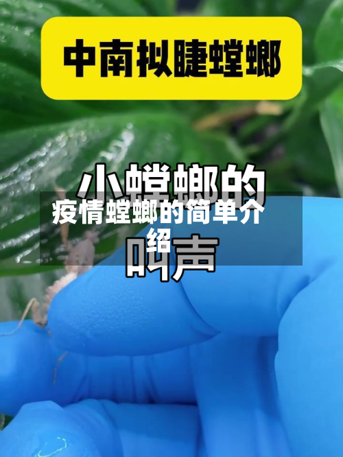 疫情螳螂的简单介绍