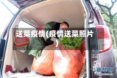 送菜疫情(疫情送菜照片)