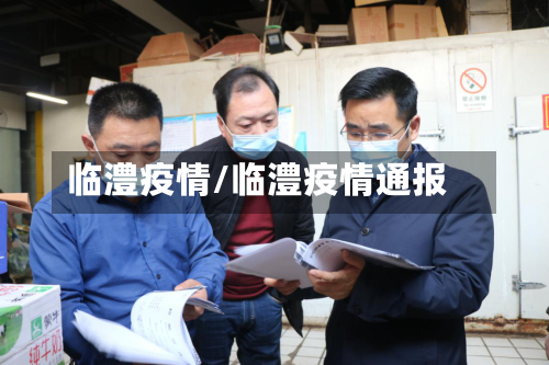 临澧疫情/临澧疫情通报-第2张图片