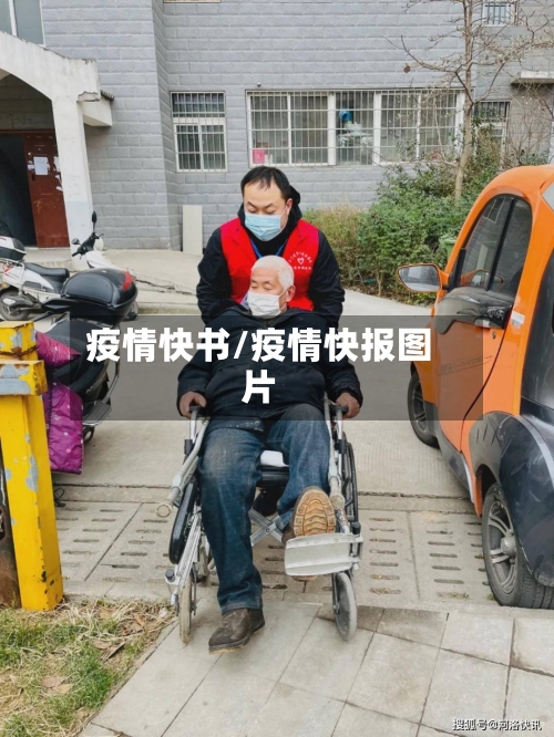 疫情快书/疫情快报图片-第2张图片