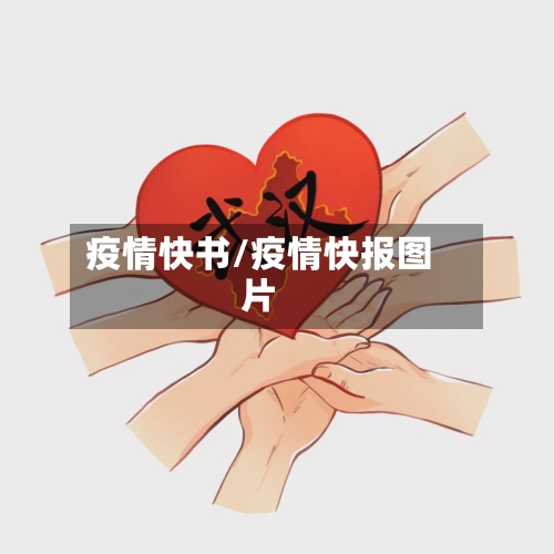 疫情快书/疫情快报图片
