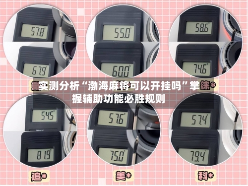 实测分析“渤海麻将可以开挂吗”掌握辅助功能必胜规则