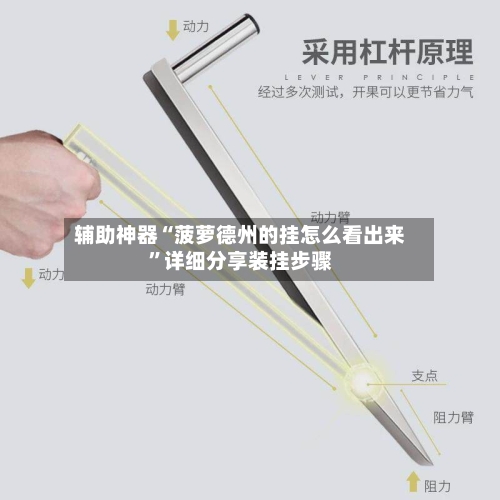 辅助神器“菠萝德州的挂怎么看出来”详细分享装挂步骤-第3张图片