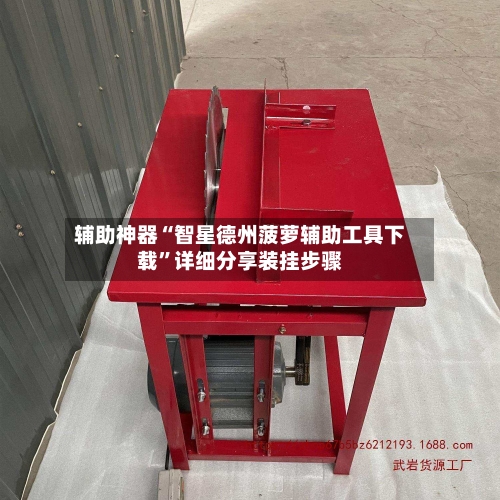 辅助神器“智星德州菠萝辅助工具下载	”详细分享装挂步骤-第1张图片