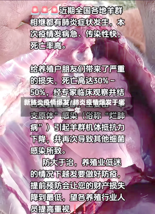 新肺炎疫情爆发/肺炎疫情爆发于哪一年-第2张图片