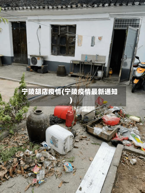 宁陵胡店疫情(宁陵疫情最新通知)-第2张图片