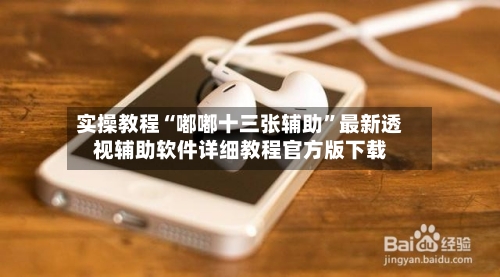 实操教程“嘟嘟十三张辅助”最新透视辅助软件详细教程官方版下载-第3张图片