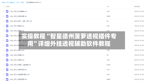 实操教程“智星德州菠萝透视插件专用”详细外挂透视辅助软件教程-第3张图片