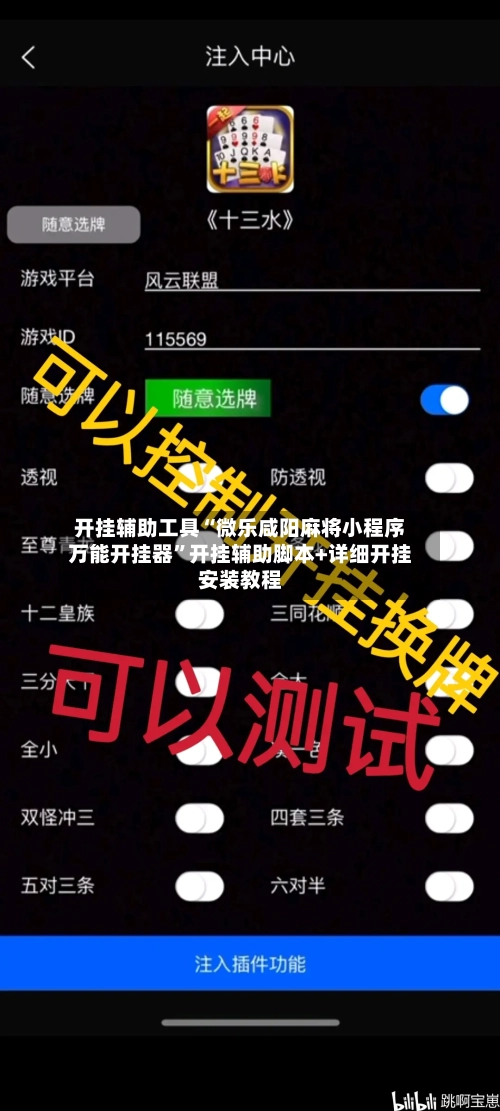 开挂辅助工具“微乐咸阳麻将小程序万能开挂器”开挂辅助脚本+详细开挂安装教程-第2张图片
