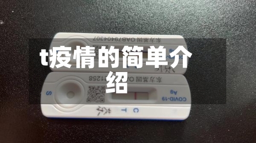 t疫情的简单介绍