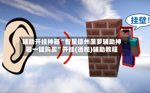 辅助开挂神器“智星德州菠萝辅助神器一键购买”开挂(透视)辅助教程-第2张图片