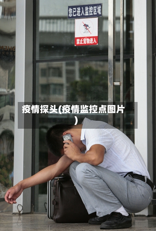 疫情探头(疫情监控点图片)-第2张图片