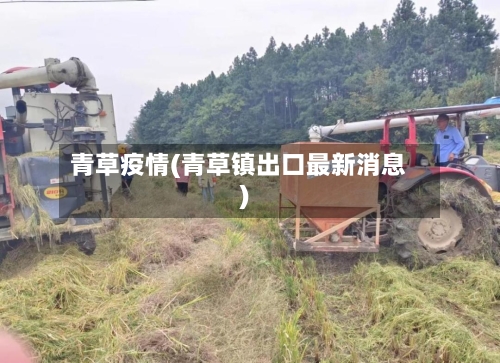 青草疫情(青草镇出口最新消息)