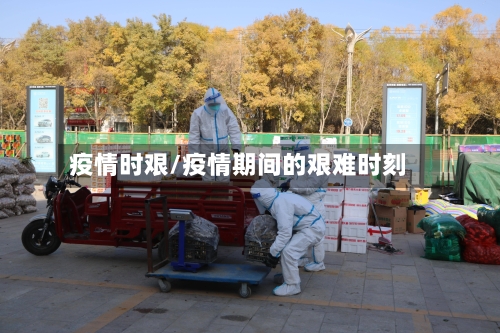 疫情时艰/疫情期间的艰难时刻-第2张图片