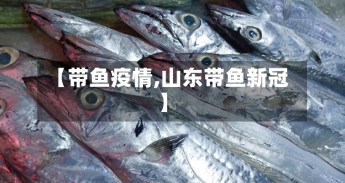 【带鱼疫情,山东带鱼新冠】