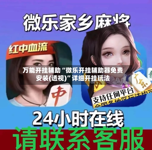 万能开挂辅助“微乐开挂辅助器免费安装(透视)”详细开挂玩法-第2张图片