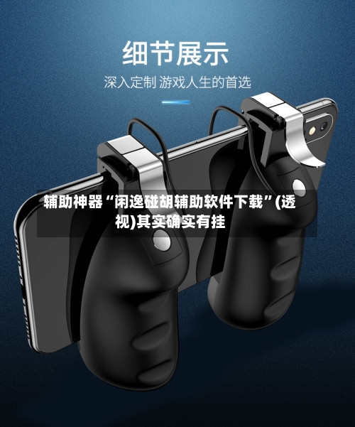 辅助神器“闲逸碰胡辅助软件下载”(透视)其实确实有挂-第2张图片