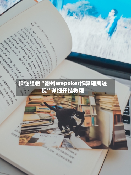 秒懂经验“德州wepoker作弊辅助透视”详细开挂教程-第3张图片