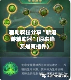 辅助教程分享“新道游辅助器”(原来确实是有插件)